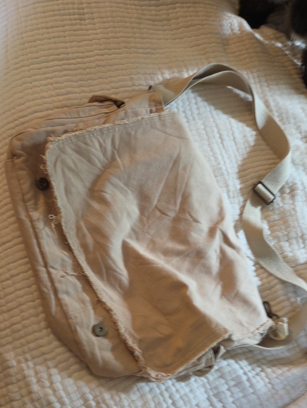 Beige Canvas Crossbody Messenger Bag - Neutral Everyday Style